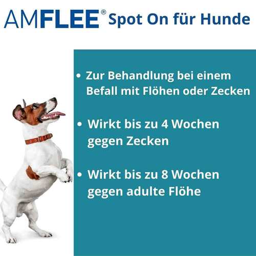 11099817-amflee-134-mg-spot-on-lsg-f-mittelgr-hunde-10-20kg-2.jpg