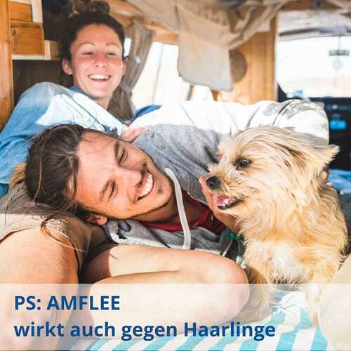 11099817-amflee-134-mg-spot-on-lsg-f-mittelgr-hunde-10-20kg-3.jpg