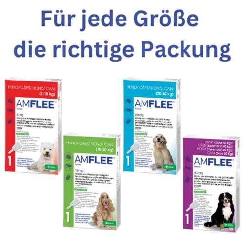11099817-amflee-134-mg-spot-on-lsg-f-mittelgr-hunde-10-20kg-4.jpg