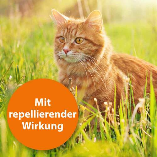 11566348-ardap-zecken-flohschutzhalsband-katzen-ab-4-monat-3.jpg
