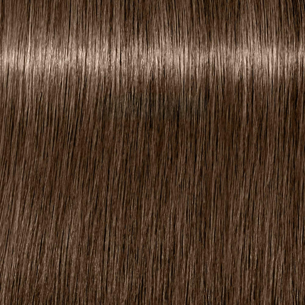 12030073_1.jpg