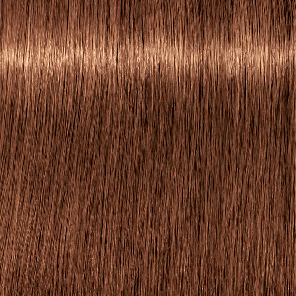 12030104_1.jpg