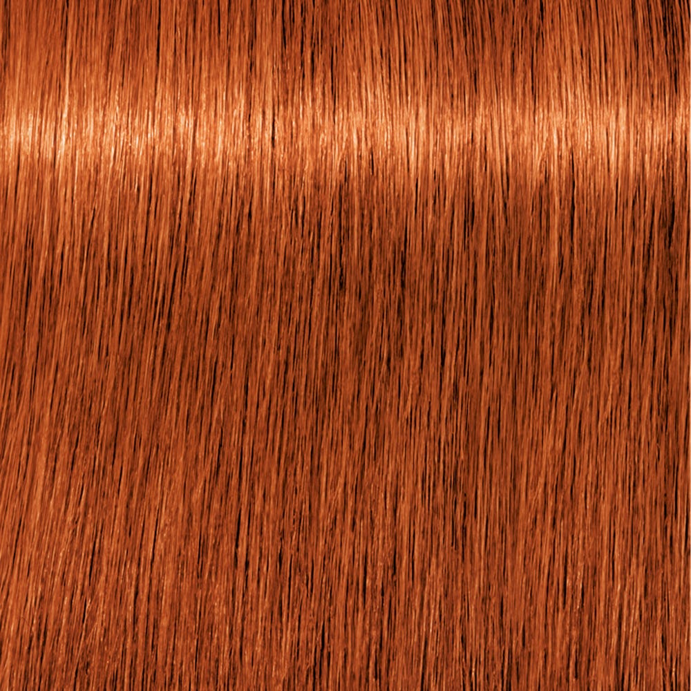 12030124_1.jpg